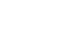 Logo Pless.pl